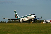 timg_4852.jpg