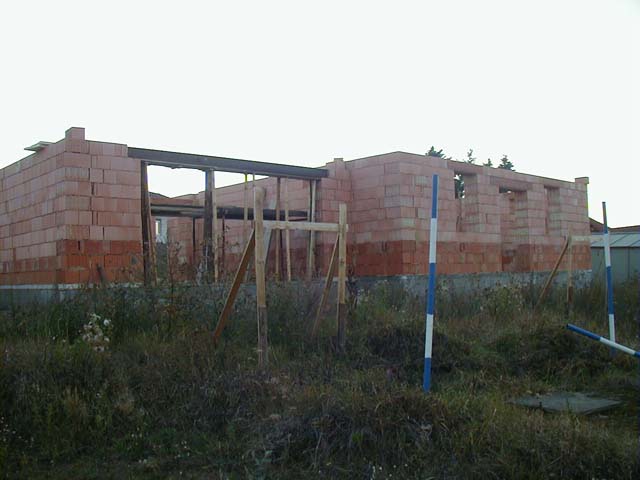 p1010003