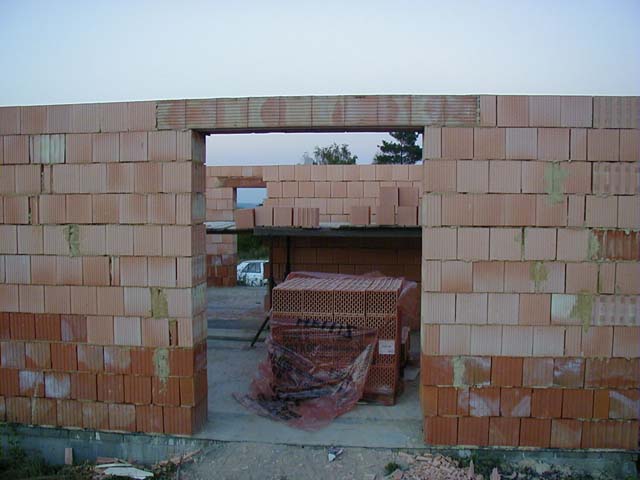 p1010010