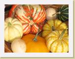 IMG_2259 * 2592 x 1944 * (1.31MB)