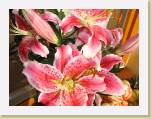 IMG_2276 * 2592 x 1944 * (1.51MB)