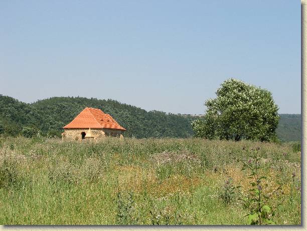 Dal snmek