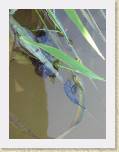 IMG_0720 * 1944 x 2592 * (1.18MB)
