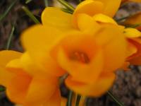 IMG_3380 