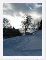 img_3091 * 1944 x 2592 * (1.36MB)