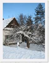 img_3093 * 1944 x 2592 * (2.02MB)