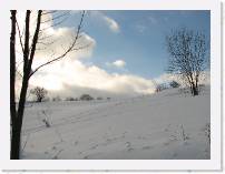 img_3098 * 2592 x 1944 * (1.21MB)