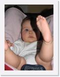 img_7973 * 1944 x 2592 * (1.08MB)