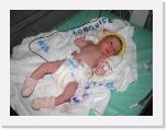IMG_5332 * 2592 x 1944 * (1.21MB)