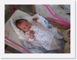 IMG_5365 * 2592 x 1944 * (1.31MB)