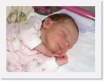 IMG_5388 * 2592 x 1944 * (1.24MB)