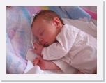 img_5453 * 2592 x 1944 * (1.1MB)
