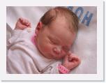 img_5462 * 2592 x 1944 * (1.09MB)