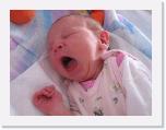 img_5483 * 2592 x 1944 * (987KB)