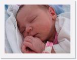img_5501 * 2592 x 1944 * (1.13MB)