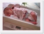 img_5537 * 2592 x 1944 * (941KB)