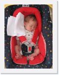 img_5539 * 1944 x 2592 * (558KB)