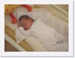 img_5575 * 2048 x 1536 * (261KB)