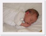 img_5583 * 2592 x 1944 * (428KB)