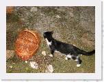 IMG_1831 * 2592 x 1944 * (2.35MB)