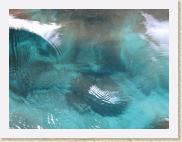 img_8284 * 2592 x 1944 * (1.22MB)