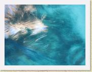 img_8285 * 2592 x 1944 * (1.2MB)