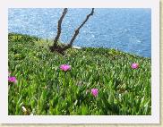 img_8297 * 2592 x 1944 * (2.21MB)