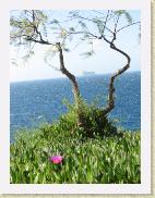 img_8298 * 1944 x 2592 * (1.7MB)