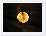 IMG_0945 * 2592 x 1944 * (994KB)