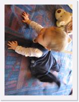img_8589 * 1944 x 2592 * (1.55MB)