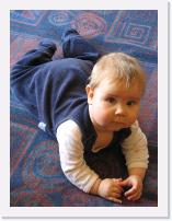 img_8593 * 1944 x 2592 * (1.6MB)