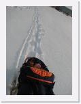 img_7856 * 1944 x 2592 * (1.1MB)