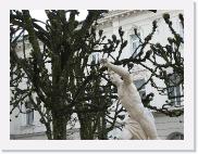 img_4079 * 2592 x 1944 * (1.76MB)