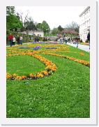img_4101 * 1944 x 2592 * (1.35MB)