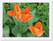 img_4105 * 2592 x 1944 * (1.09MB)