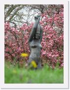 img_4113 * 1944 x 2592 * (1.2MB)