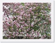 img_4119 * 2592 x 1944 * (2.74MB)