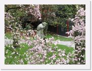 img_4125 * 2592 x 1944 * (2.65MB)