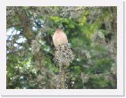 img_4320 * 2592 x 1944 * (1.28MB)