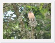 img_4321 * 2592 x 1944 * (1.26MB)