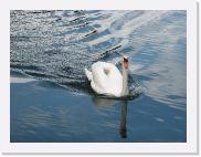 img_4382 * 2592 x 1944 * (1.48MB)