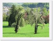 img_4400 * 2592 x 1944 * (2.61MB)