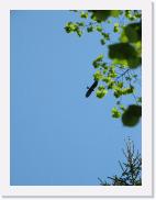 img_4445 * 2592 x 1944 * (941KB)