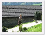 img_4466 * 2048 x 1536 * (1.22MB)