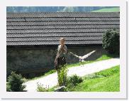 img_4467 * 2048 x 1536 * (1.26MB)