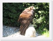img_4514 * 2592 x 1944 * (1.75MB)