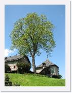 img_4537 * 1944 x 2592 * (1.17MB)