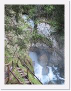 img_4600 * 1944 x 2592 * (1.24MB)