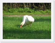img_4674 * 2048 x 1536 * (1.24MB)