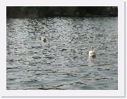 img_4725 * 2048 x 1536 * (1.07MB)